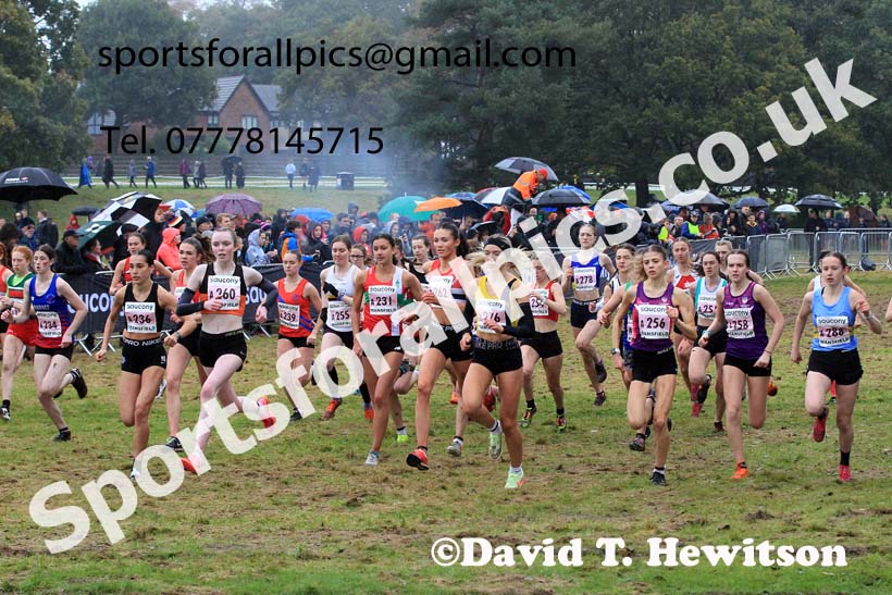 Junior Womens 2023 National Cross Country Relays, Berry Hill Park, Mansfield.  Photo: David T. Hewitson/Sports for All Pics
